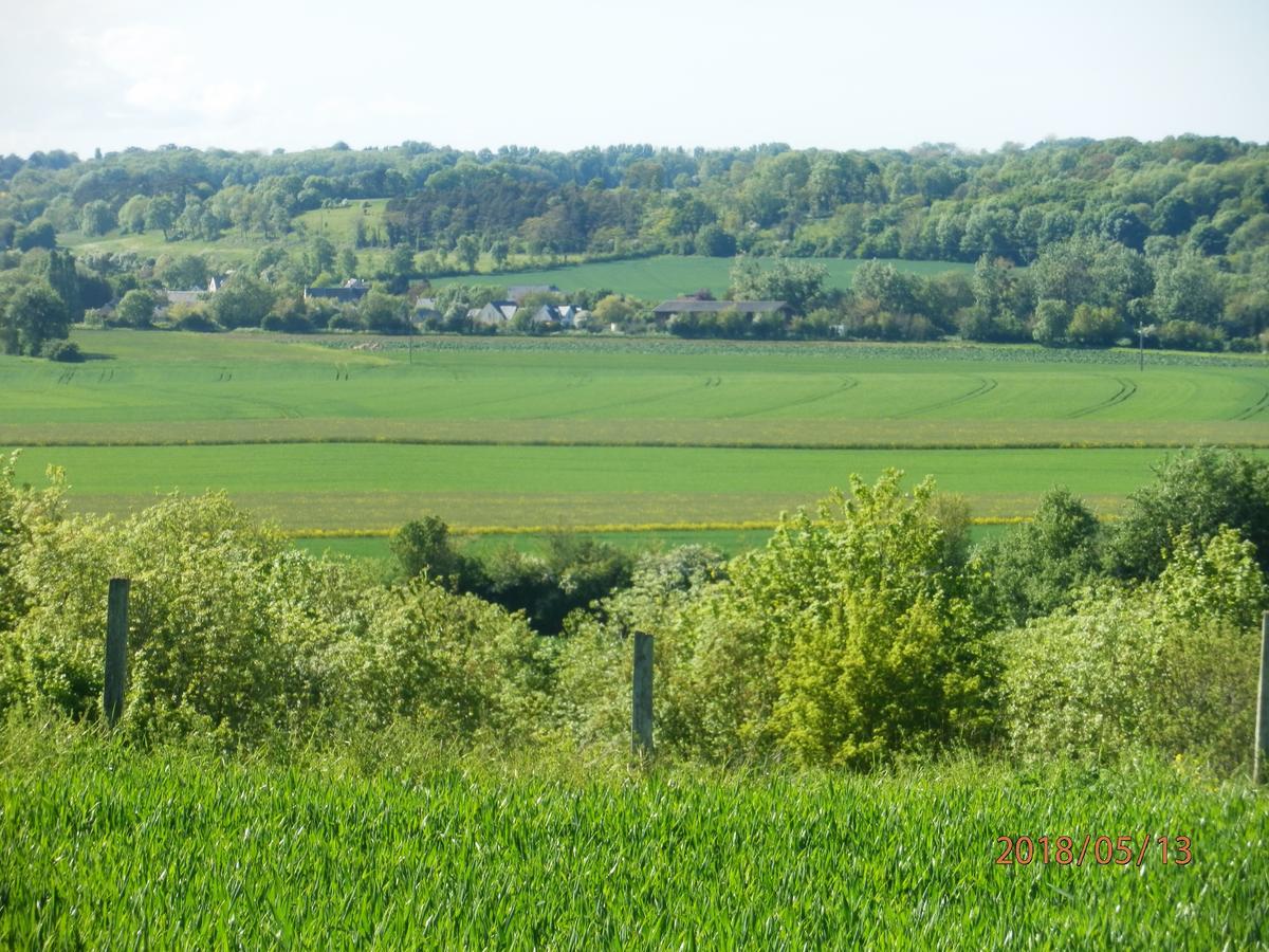 德拉哥弟酒店 Magny-en-Bessin 外观 照片
