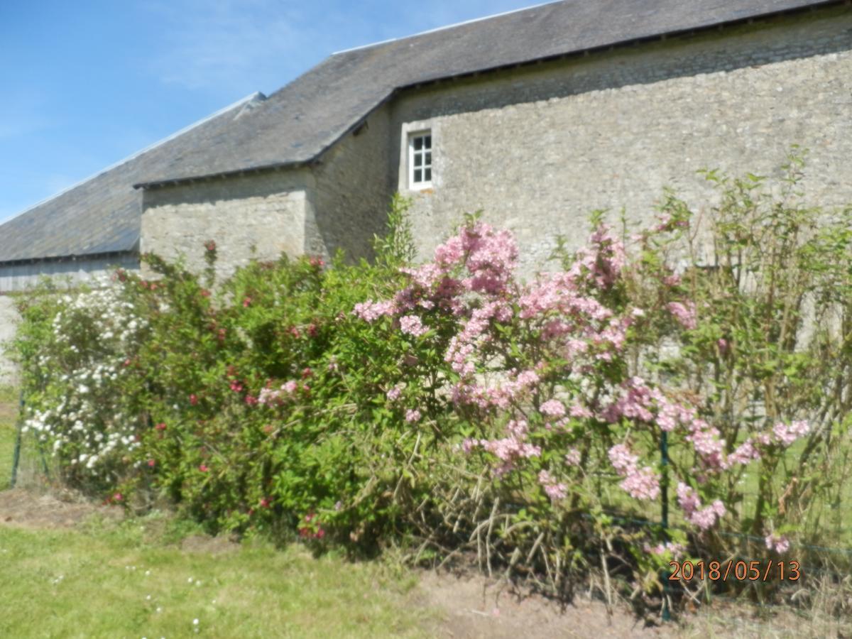 德拉哥弟酒店 Magny-en-Bessin 外观 照片